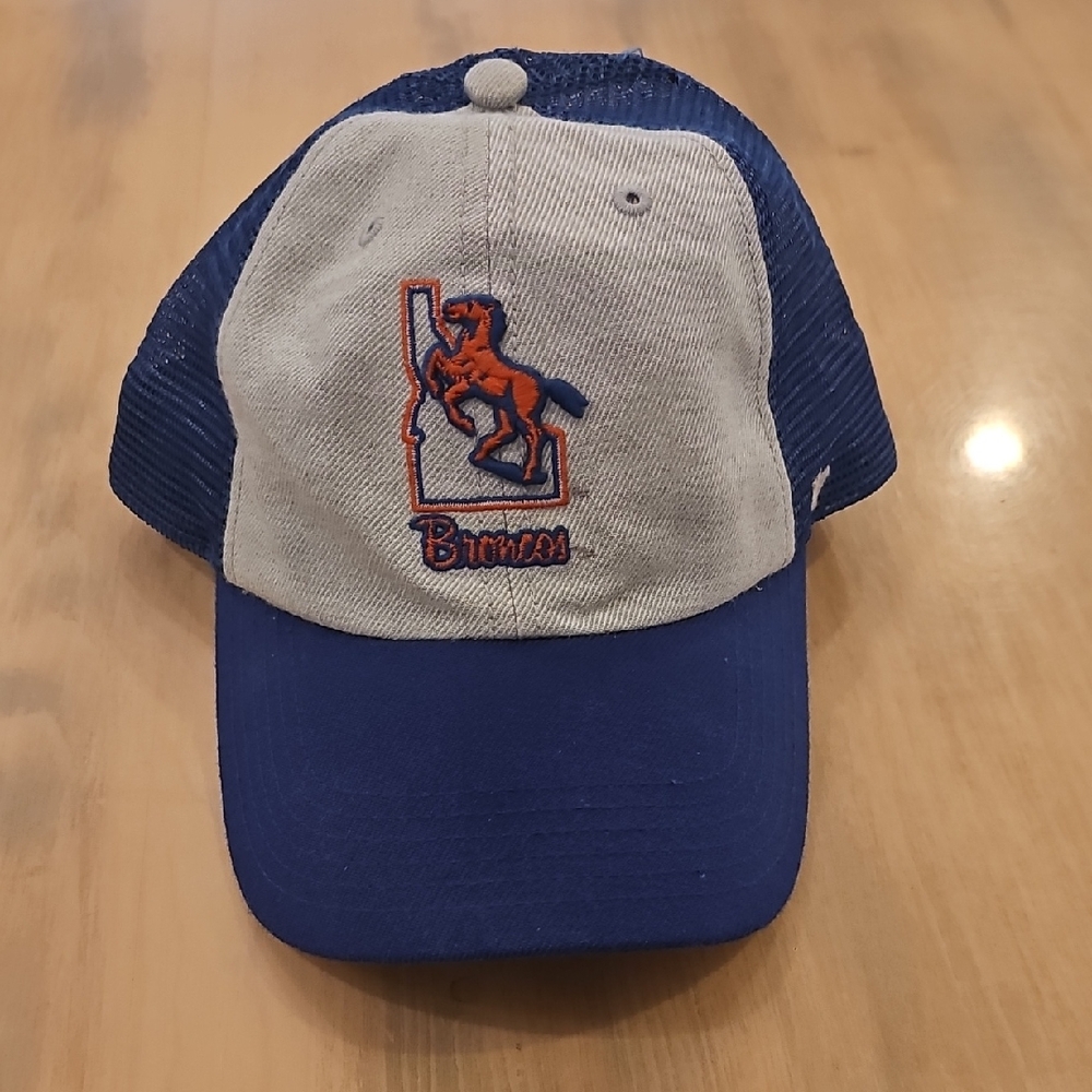 Blue and Gray Boise State Broncos Hat